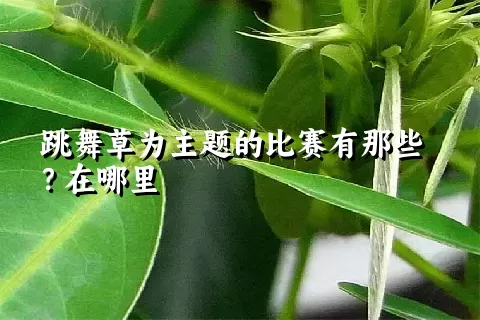 跳舞草为主题的比赛有那些？在哪里