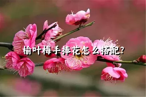 榆叶梅手捧花怎么搭配？