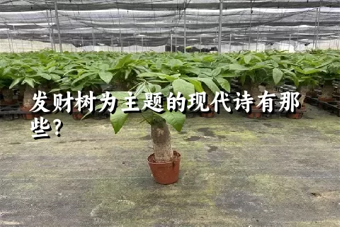发财树为主题的现代诗有那些？