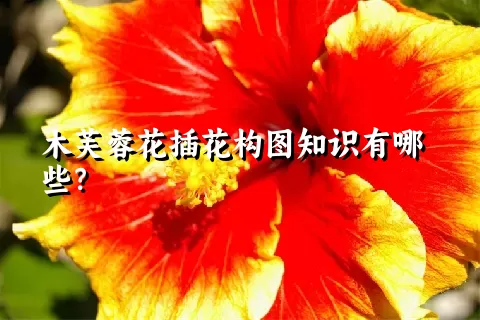木芙蓉花插花构图知识有哪些？