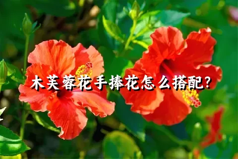木芙蓉花手捧花怎么搭配？