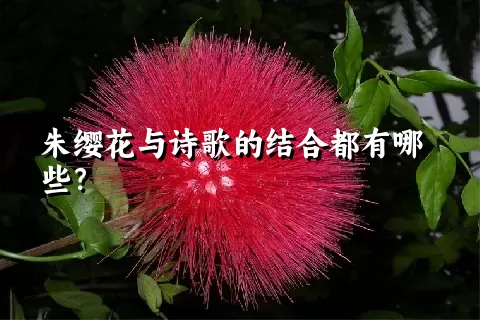 朱缨花与诗歌的结合都有哪些？