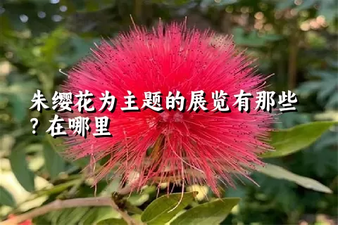 朱缨花为主题的展览有那些？在哪里