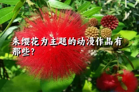 朱缨花为主题的动漫作品有那些？