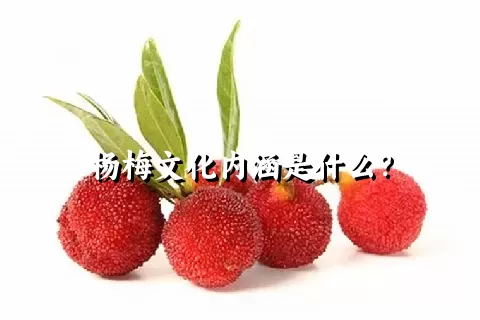杨梅文化内涵是什么？