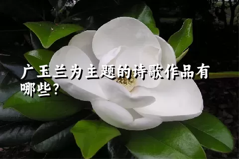 广玉兰为主题的诗歌作品有哪些？