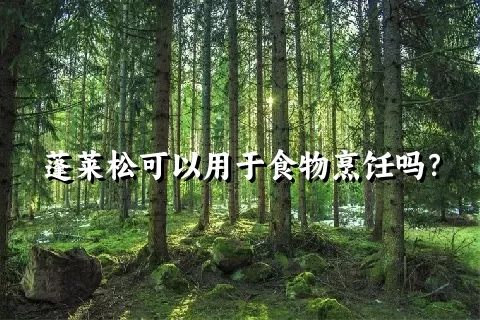 蓬莱松可以用于食物烹饪吗？