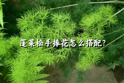 蓬莱松手捧花怎么搭配？