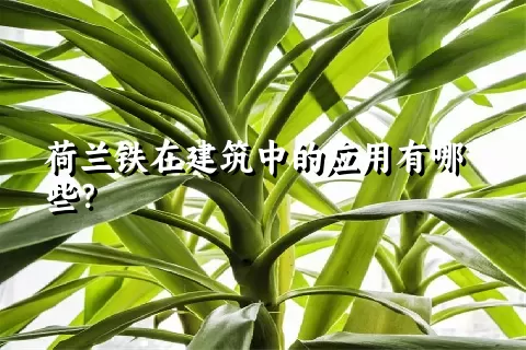 荷兰铁在建筑中的应用有哪些？