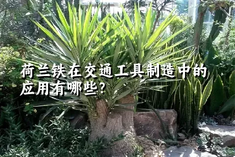 荷兰铁在交通工具制造中的应用有哪些？