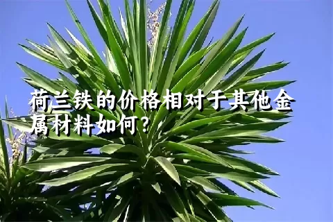 荷兰铁的价格相对于其他金属材料如何？
