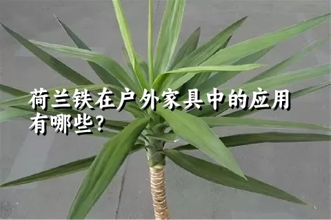 荷兰铁在户外家具中的应用有哪些？