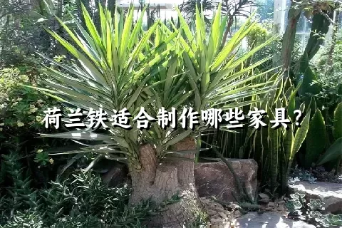 荷兰铁适合制作哪些家具？