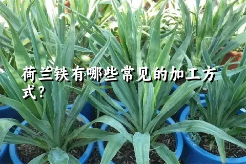 荷兰铁有哪些常见的加工方式？
