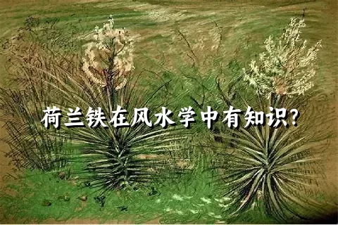 荷兰铁在风水学中有知识？