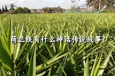 荷兰铁有什么神话传说故事？