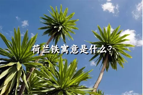 荷兰铁寓意是什么？