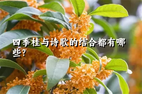 四季桂与诗歌的结合都有哪些？