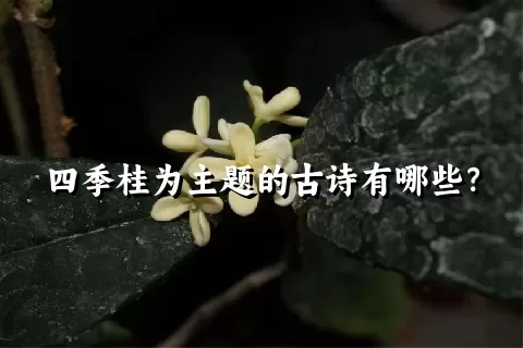 四季桂为主题的古诗有哪些？
