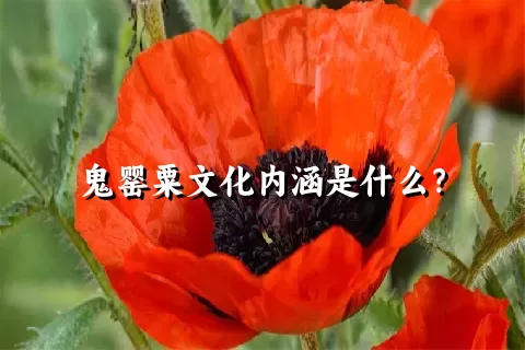 鬼罂粟文化内涵是什么？