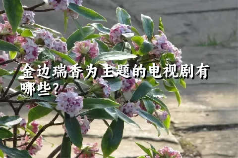金边瑞香为主题的电视剧有哪些？