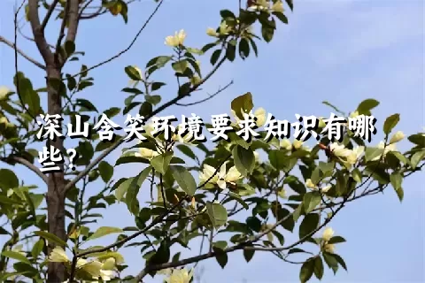 深山含笑环境要求知识有哪些？