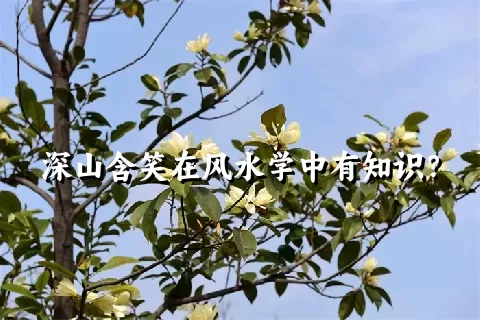 深山含笑在风水学中有知识？