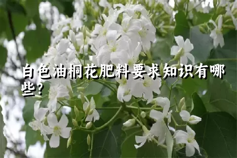 白色油桐花肥料要求知识有哪些？