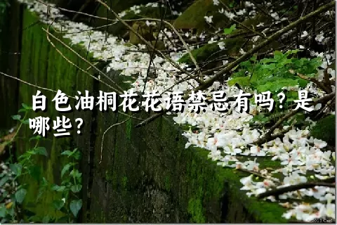 白色油桐花花语禁忌有吗？是哪些？