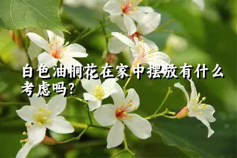 白色油桐花在家中摆放有什么考虑吗？