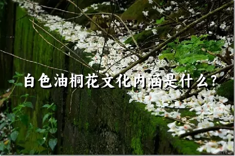 白色油桐花文化内涵是什么？