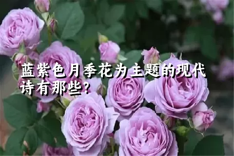 蓝紫色月季花为主题的现代诗有那些？