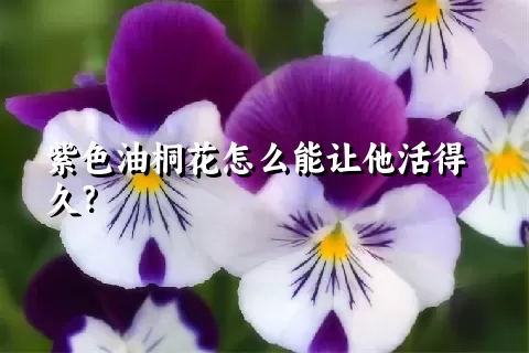 紫色油桐花怎么能让他活得久？