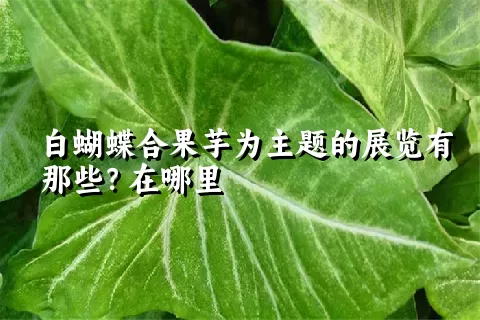 白蝴蝶合果芋为主题的展览有那些？在哪里