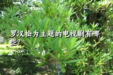 罗汉松为主题的电视剧有哪些？