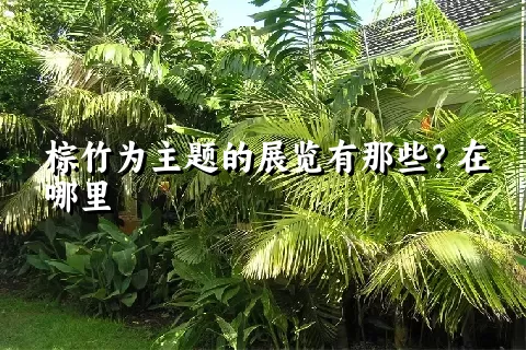 棕竹为主题的展览有那些？在哪里