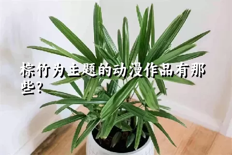 棕竹为主题的动漫作品有那些？