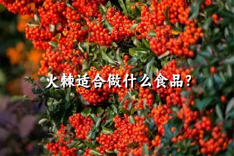 火棘适合做什么食品？