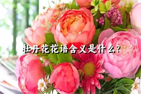 牡丹花花语含义是什么？