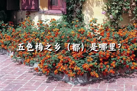 五色梅之乡（都）是哪里？