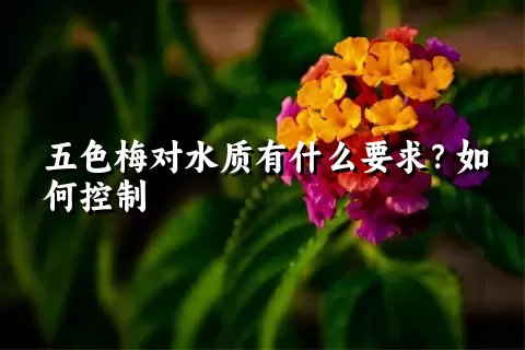 五色梅对水质有什么要求？如何控制
