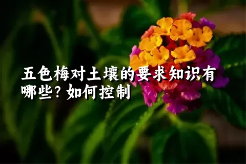 五色梅对土壤的要求知识有哪些？如何控制