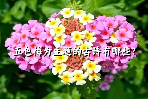 五色梅为主题的古诗有哪些？