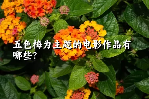 五色梅为主题的电影作品有哪些？