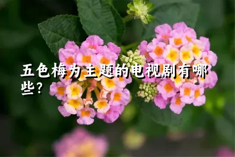 五色梅为主题的电视剧有哪些？