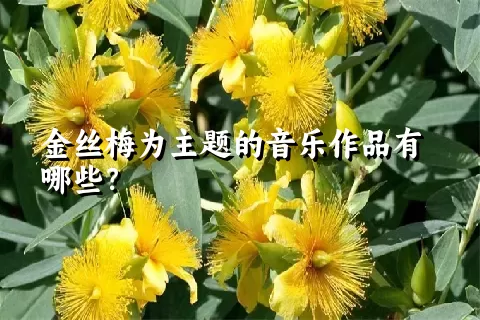 金丝梅为主题的音乐作品有哪些？