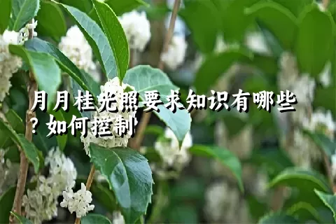 月月桂光照要求知识有哪些？如何控制