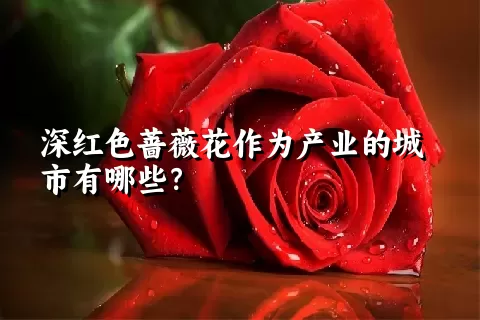 深红色蔷薇花作为产业的城市有哪些？