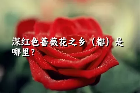 深红色蔷薇花之乡（都）是哪里？