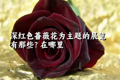 深红色蔷薇花为主题的展览有那些？在哪里